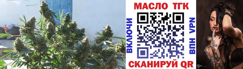 Дистиллят ТГК жижа  где продают наркотики  KRAKEN сайт  Шацк 